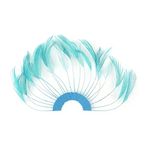 Zucker Feather (TM) - Feather Hackle Plates Solid Colors - Dark Aqua