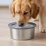 Belle Vous Slow Water Feeder Non-Spill Dog Bowl - Large 2L/68oz Stainless Steel Pet Water Bowl for Dogs/Cats - Non-Slip Spill Proof Drinking Dispenser