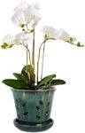 vensovo 5.5 Inch Ceramic Orchid Pot - Orchid Pot with Holes for Repotting, Ceramic Planter with Saucer for Indoor/Outdoor Plants, Green