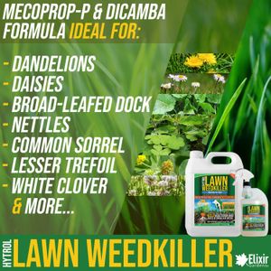 Elixir Gardens Lawn Weed Killer, 500ml – Selective Herbicide