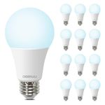 DEGNJU LED Light Bulbs, A19 100 Watt Equivalent LED Bulbs, Daylight 5000K, 1500 Lumens, E26 Standard Base, Non-Dimmable, 13W Bright White LED Bulbs for Bedroom Living Room Home Office, 12 Pack