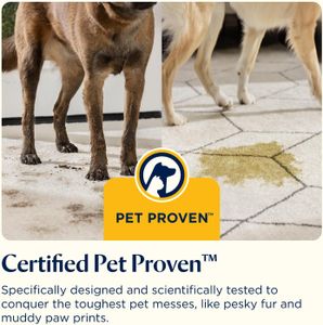 BISSELL SpotClean Pet Carpet Cleaner – Portable Stain Remover