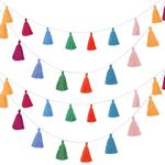 4 Pieces Tassel Garland Boho Colorful Tassel Banner Decorative Wall Hanging for Home Decoration Wedding Birthday Baby Shower Party Supplies, Pre-assembled (Tassel in 3.1 Inches)