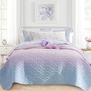 DREAMCLOUD HOME Quilt Set Full Queen Size 3 Piece, Bailey Pattern Printed Bedding Coverlet Set, Lightweight Soft Reversible Bedspread Sets for All Season (1 Quilt & 2 Pillow Shams)