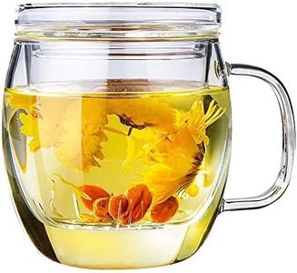 Bunhut Glass Tea Cup with Infuser and Lid,500ml (17oz) Borosilicate Glass Tea Mugs for Loose Leaf Tea,Glass Tea Cups with Filter for Black Tea,Great Loose Tea-leaf Brewing System