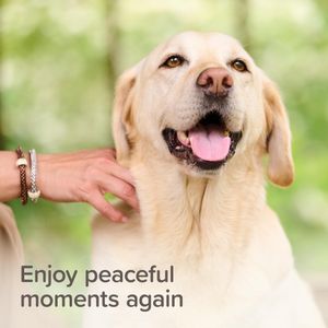 Beaphar Herbal Calming Spray for Pets, 125ml