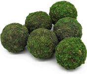 Usmola Moss Balls, Decorative Balls