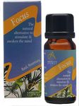 Absolute Aromas Focus Essential Oil Blend 10ml - Pure Natural, Undiluted - for Aromatherapy and Diffusers