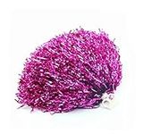 2PCS 30cm/11.8'' Cheerleading Cheerleader Ring Pom Poms Sports Party Accessories Dance Ball Party Sports Pompoms Cheer Pom for Colleage Team Spirit Corporate Events (Rose Red)