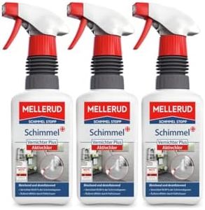 Schimmel V