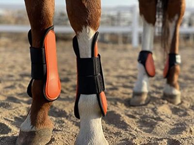 Ride Now Horse Tendon Boots Open Front/Fetlock Boot for Horse Set of 4 (Pony, Orange)