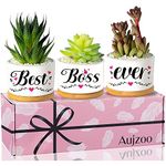 Aujzoo Boss Lady Gifts for Women,Best Boss Gift Congratulations Gifts for Female Girl Boss Office Decor Planter Succulent Pots