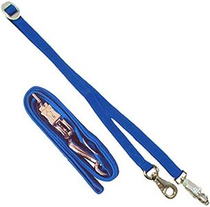 Intrepid International Stable Supplies Nylon Cross Tie for Horses, Blue