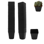 Plastic Nursery Pots 100 Pcs 2 Inch Small Square Plant Pot Durable Balck Starter Container for Starting Seedlings or Succulents