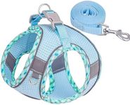 Roolisspa Dog Harness for Small Dogs No Pull Breathable Mesh Vest Adjustable Leashes Set for Puppy and Cat