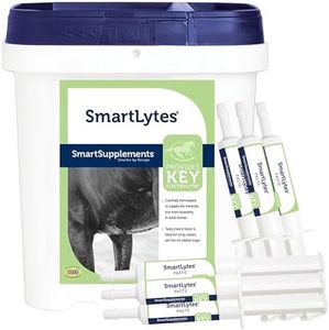 SmartEquine SmartLytes Horse Electrolyte Powder Supplement & SmartLytes Paste Horse Electrolyte Paste 6 Tubes Bundle, Encourages Hydration, Replenishes Electrolytes, No Added Sugar