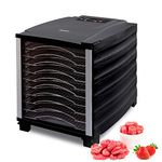 BioChef Arizona Food Dehydrator with 6, 8 or 10 Stainless Steel Trays and 24hr Digital Timer. Fruit Dryer Machine + Non Stick Trays, Mesh Sheets and Drip Tray (Black) (Black, 10 Tray)