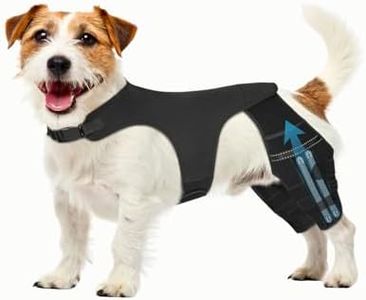 Pawfun Dog Knee Brace for Torn ACL Hind Leg, Dog Leg Braces for Back Leg Support with 4 Metal Stabilizers Helps with Torn CCL, Luxating Patella, Ligament Injuries, Hip Dysplasia,XS