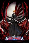 Bleach Poster Anime Merch Manga Ichigo Merchandise Series Comic Art Action Character Swords Ichigo Kurosaki Soul Reaper Viz Media Japanese Animation Cool Wall Decor Art Print Poster 12x18