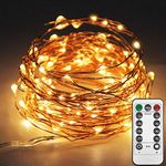 Twinkle Star 33ft 100LED Copper Wire String Lights Fairy String Lights 8 Modes LED String Lights USB Powered with Remote Control for Wedding Party Home Warm White