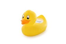 Rotho Babydesign Duck Bath Thermometer with Digital Measuring Function, For the Ideal Bathing Temperature, Yellow, 20430