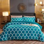 BESTCHIC Teal Blue Comforter Set Queen Size 3 Pieces, Sherpa Fleece Reversible Queen Comforter Set, Ultra Soft Fuzzy Down Alternative Comforter with 2 Pillow Shams（88 x 88 Inches