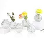 EylKoi Small Vases for Flowers 6pcs/set Bud Vase Glass Clear Pumpkin Shapes, Vintage Wedding Decor, Bud Vases in Bulk Vases for Centerpieces Small Glass Single Flower Vases for HomeEvents Table, 5#