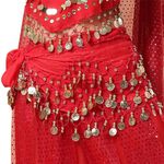 SDKZBFC Belly Dance Hip Scarf ，98 Gold Coins Chiffon Belly Dance Hip Scarf Dance Skirt Belt Waist Chain Red