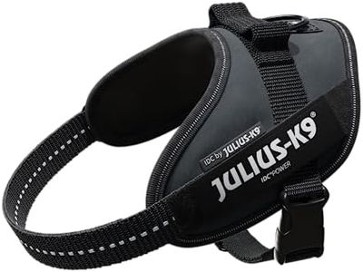 Julius-K9,