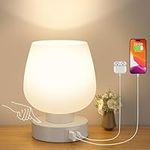 Kakanuo Bedside Table Lamp with Gla