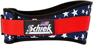 Schiek Sports 2006 Nylon 6" Weight 