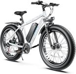 Vivi Electric Bike E-Bike 26" x 4.0