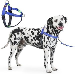 APDEXY Freedom No Pull Dog Harness for Large Dogs, Front Clip, Easy Walker, Anti Pull with Two Stainless D-Rings, Comfortable, Sewn-in Instructions Tags for Easy Use (Blue, XXL)