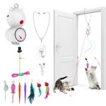 Tyasoleil 2 in 1 Interactive Cat Toy, Hanging Cat Toy, Smart Cat Toy with Laser and Hook, USB Rechargeable Cat Toy, With 7 Replaceable Accessories, Cat Indoor Entertainment, Relieve Boredom