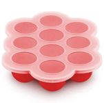 BRUSHFINCH Baby Food Storage Container,Silicone Baby Food Freezer Tray with Lid, Food Grade,Perfect Food Container for Homemade Baby Food,Fruit Puree Vegetables,Breast Milk - 1pc. (red)