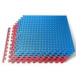 Thick Puzzle Exercise Mat, 6 Pcs EVA Foam Interlocking Tiles Protective Flooring for Gym Equipment and Cushion for Workouts, Durable Non-Skid Texture, Easy to Assemble, Red and Blue