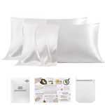 PROMEED White Silk Pillowcase 2 Pack for Hair and Skin, 100% 23 Momme Mulberry Silk Pillow Case Set of 2 with Hidden Zipper, Natural and Acne-Fighting (Queen 20"x30", White)