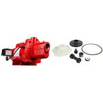 Red Lion RJS-100-PREM 1 HP Shallow Well Jet Pump + Overhaul Kit