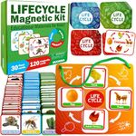 QUOKKA Life Cycle Kit Toy Montessori - 30 Flash Cards Toddler Science Activities for Kids Ages 3-4 - Prek Animal Learning Materials 3-5 - 120 Magnetic Toddler Classroom Must Haves for Preschool