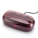 Heated Hair Rollers 10 in 1 PTC Heated Temperature Control Portable Curling Machine Curling Set, 450W, 90-Second Rapid Heating,10 Volume & Shine Rollers,10 Hair Clips