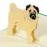 Birthday Card Dog, Bulldog Frances, Dog Cards, Congratulations Pug, Handmade, Laser cut, Cards for all Occasions, F17