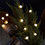 Lights4fun 50 Warm White LED Battery Operated Berry String Fairy Lights for Indoor and Outdoor Use 1.5m