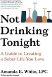 Not Drinking Tonight: A Guide to Creating a Sober Life You Love