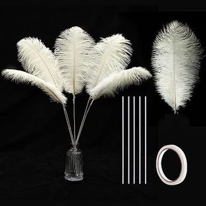 Holmgren Ostrich Feathers Bulk - 20Pcs Making Kit 22 Inch Large Ostrich Feathers for Vase, Floral Arrangement, Wedding Party Centerpieces and Home Decorations