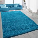 SASONS® Extra Large Shaggy Rug 5cm Thick Soft Pile Modern Fluffy Rugs for Living Room Bedroom Floor Carpet Mat Non Shedding Warm Colours Small Large X-Large Area Rugs (Teal, 60 x 110cm)