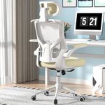 FOKESUN Ergonomic Office Chair, High Back Mesh Desk Chair with Thick Molded Foam Cushion, Coat Hanger, Adjustable Headrest, Lumbar Support, Tilt & Lock Function - Task Computer Chair (Beige)