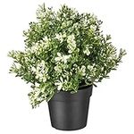 IKEA FEJKA Artificial Potted Plant, Thyme 9 cm