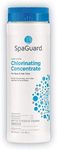 SpaGuard Spa Chlorinating Concentra