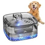 Dog Water Fountain for Large Dogs, 