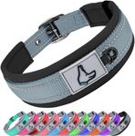 Joytale Neoprene Padded Dog Collar for Small Dogs, 11 Colors, Reflective Wide Pet Collar with Durable Metal Belt Buckle, Adjustable Heavy Duty Nylon Dogs Collars, Gray